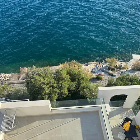 Olive Tree * Komarna