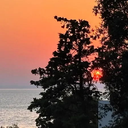 Appartamento Olive Tree