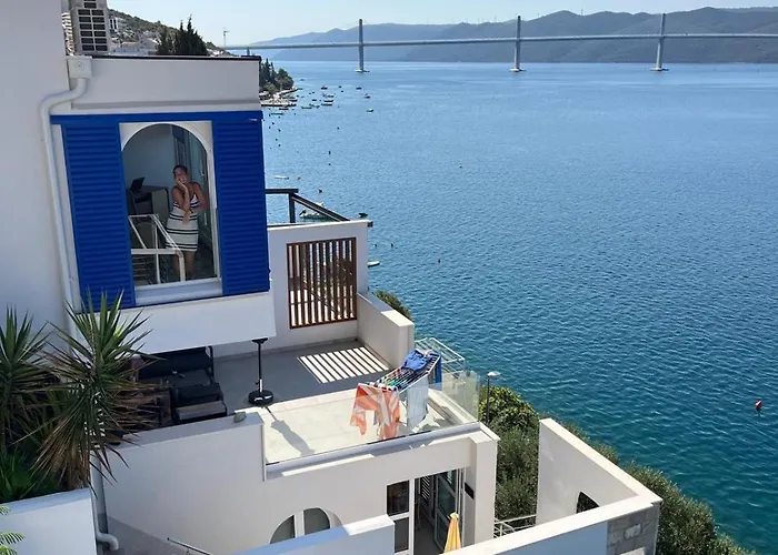 Olive Tree * Komarna