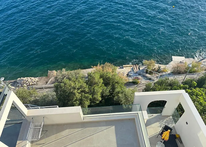 Olive Tree * Komarna