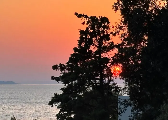 Appartamento Olive Tree