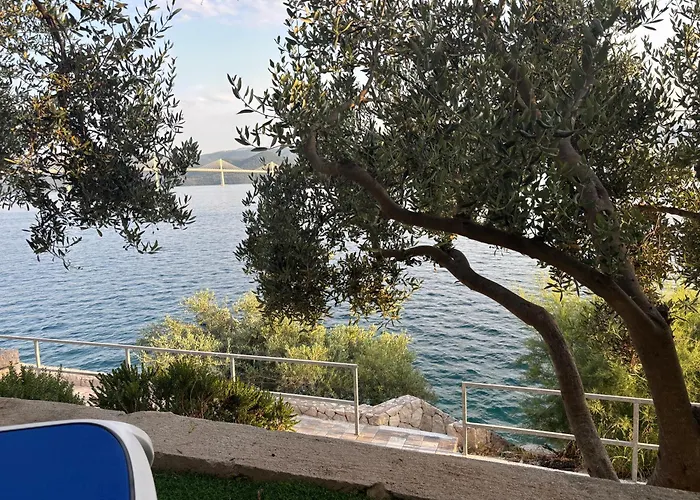 Olive Tree Appartamento