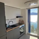 Olive Tree 科马尔纳