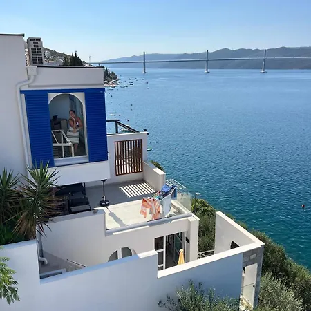 Olive Tree * Komarna