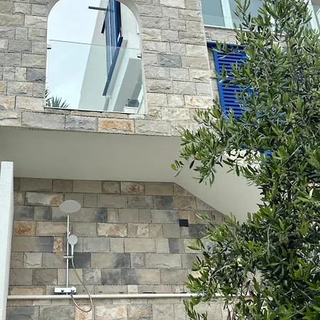 Apartment Olive Tree