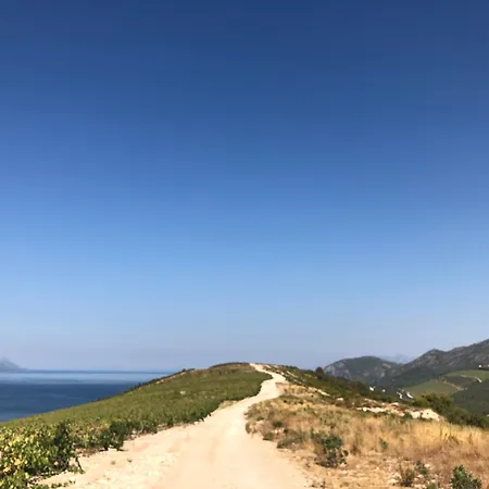 Olive Tree Apartmán