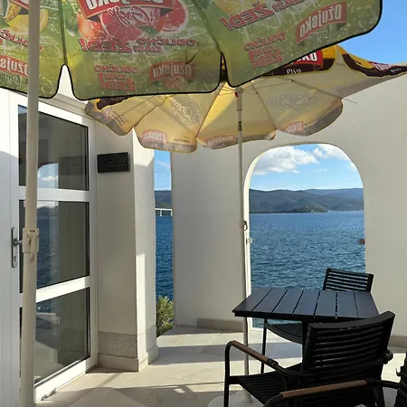 Olive Tree * Komarna