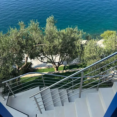 Olive Tree * Komarna