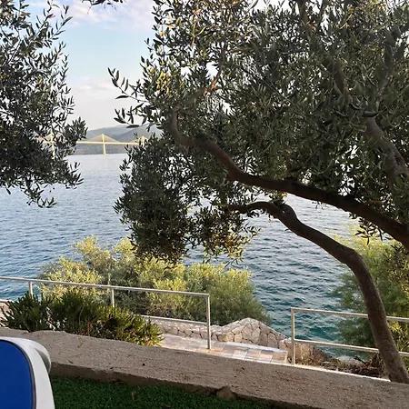 Olive Tree Lägenhet