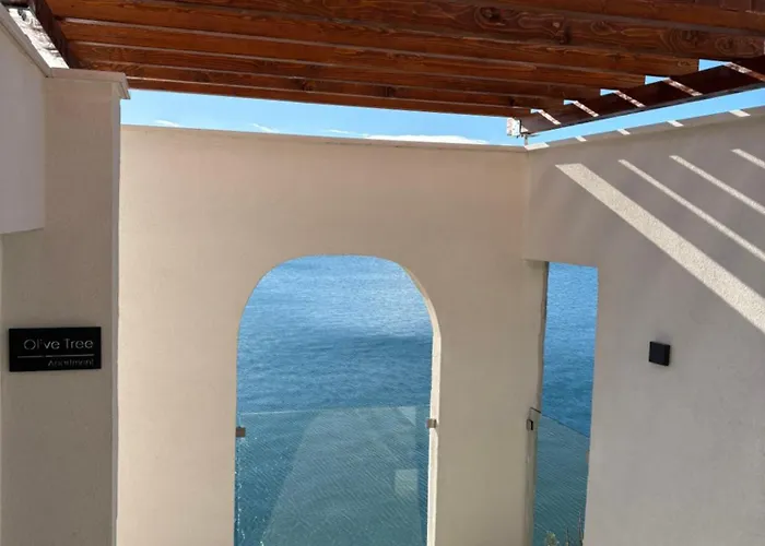 Olive Tree * Komarna