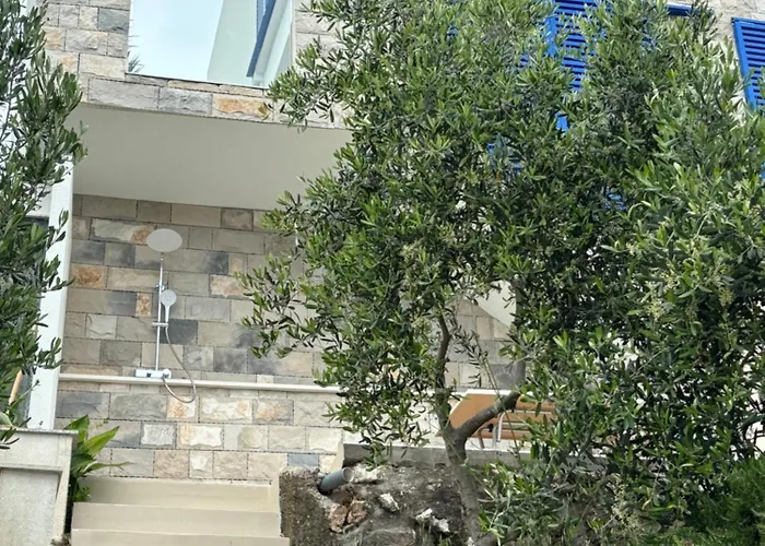 Apartment Olive Tree Komarna