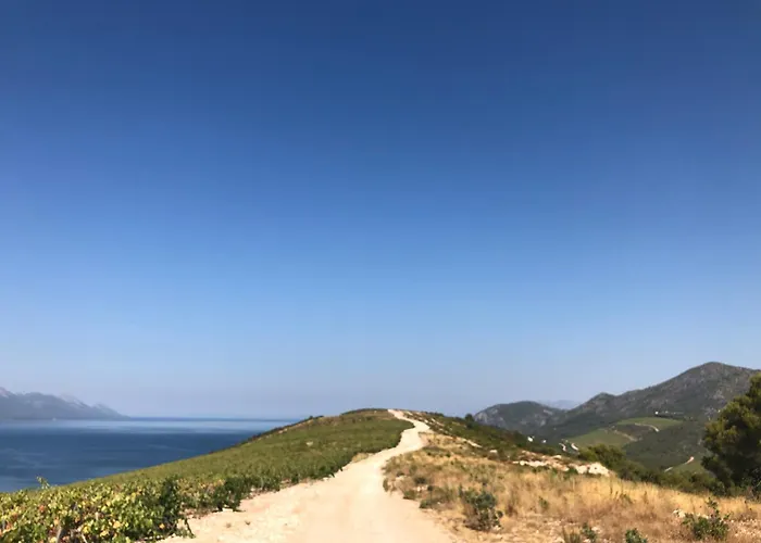 Olive Tree Apartment