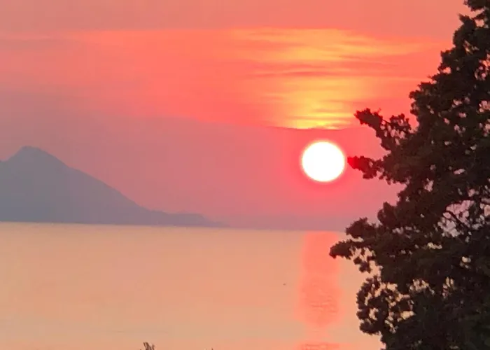 Apartment Olive Tree Komarna