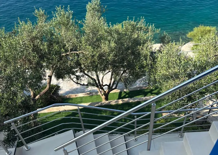 Olive Tree * Komarna